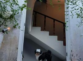 Hostel Triplo J e Guest House، بيت شباب في سلفادور