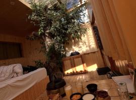 Crystal view, hotel in Jibhi