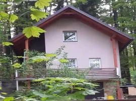 Tranquil North Bohemia Getaway