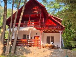 Pensiunea Geo, cazare din Lunca Mare