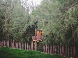 Vindoux Tree House Guest Farm & Spa, spa hotel in Tulbagh