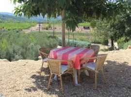 Villa in Provence with Pool and Vineyard Views