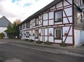 Modern group of homes close to Willingen and Winterberg with large garden