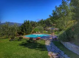 Majestic Farmhouse in Loro Ciuffenna with Pool