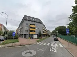 Einsteinova UFO bridge