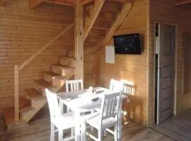 Modern wood House in Rewal with a terrace