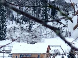 Gite le chapy, hotel in Septmoncel