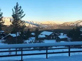 15 person holiday home in Treungen