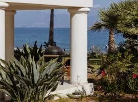 Balamb Garden A Rinascita