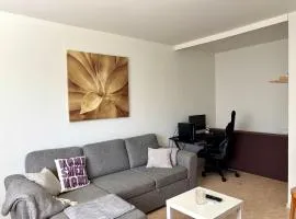 Charming Kemi Apartment with Sauna department Free Parking