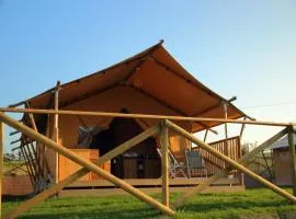 Pleasant tent with swimming pool