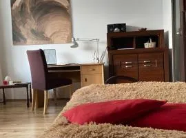 Apartament NOC Z OBRAZEM - balkon - Warszawa Praga