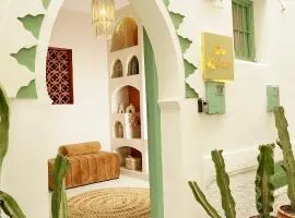 Riad Dar Lyabaïana privatisé, climatisé, hammam ,vue mer