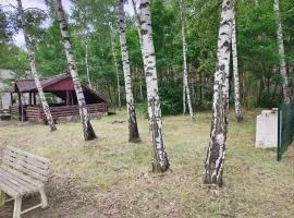 Waldcamp Hundeparadies