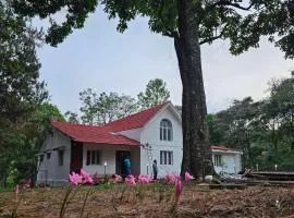 Ckcm Resort