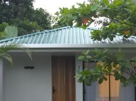 Villa del pájaro pecho amarillo