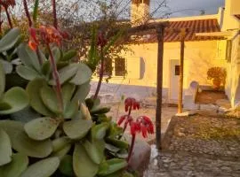 Olive -Casa da Boavista