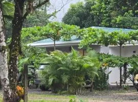 Villa Pecho Amarillo