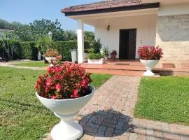 Villa Civetta tra Roma e i Castelli Romani