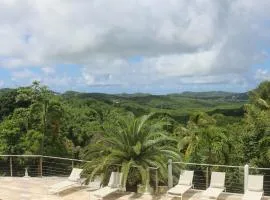 Villa Caryota, Le Marin