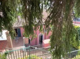 Le corti dell'Etna