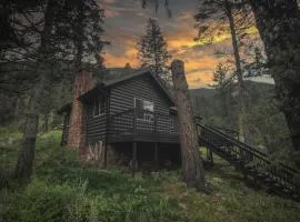 Mountain Cabin with Hot Tub, Fireplaces, Loft, Views