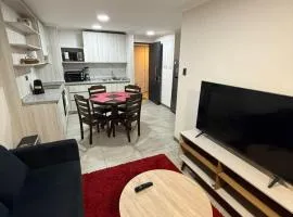 Departamento centro 2D 2B