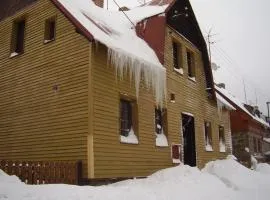 Holiday Home Abertamy near Ski Slopes