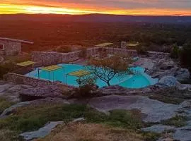 Suite's on the rock's