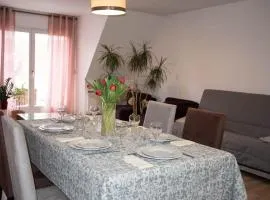 App T3 proche centre Strasbourg 4 lits 7 voy