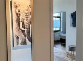 Royal Haus Chemnitz 3- Balkon nahe Zeisigwald