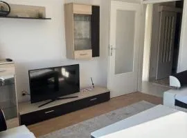 Apartment Meskovic