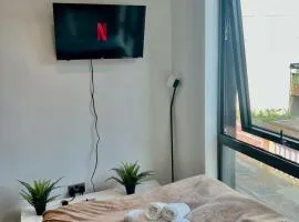 Central Sheffield Studio for 2