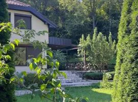 Vila Garden River Jahorina - Sarajevo
