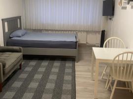 Ganze Apartment in Saarbr&uuml;cken City &ndash; zakwaterowanie bez wyżywienia 