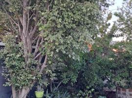 Clay Stone Cottage, hotel in Goodwood