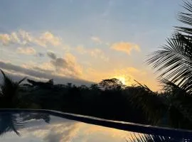 DeSila House and Pool