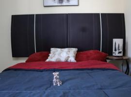 Departamento en residencial privada，薩爾蒂約的寵物友善飯店