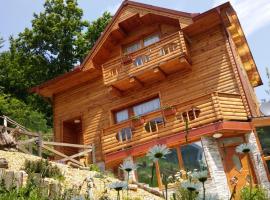 Hi&scaron;ka sprostitve, vila v destinaci Vransko