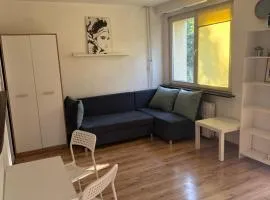 Central Studio Bolesławiec