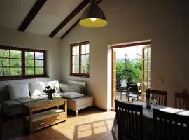 Mansion in Langhe with Pool and Winery Charm