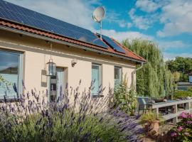 FEWO KOI mit Teichblick, Luxushotel in Nordhausen