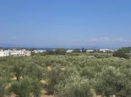 Olive Paradise Maison