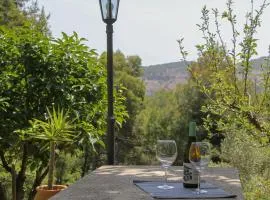 Refugio verde con encanto