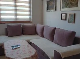 Smart Choice Studio - Koševo