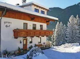 Apartment in Zillertal near Ski Slopes