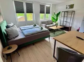Larooms - WhiteRock#3 - StudioApartment
