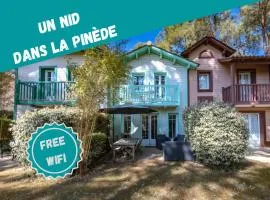 Un Nid dans la Pinède