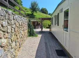 Lexi Zen House