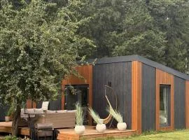 Forest Resort house